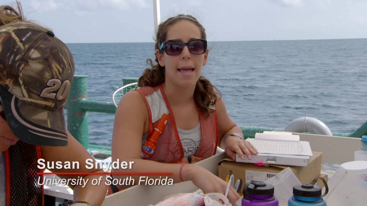 This Is Fishery Science  (Gulf Dispatches)