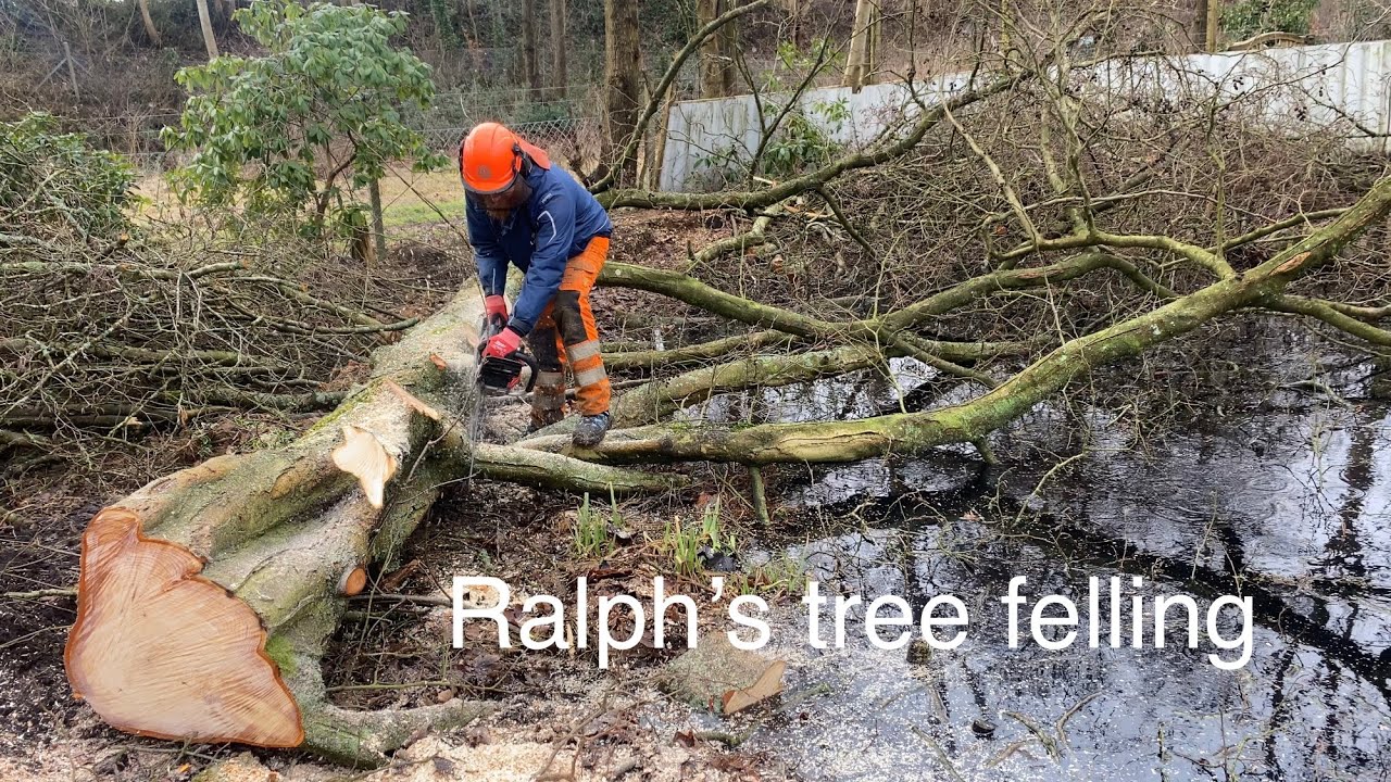 Ralph’s tree felling 