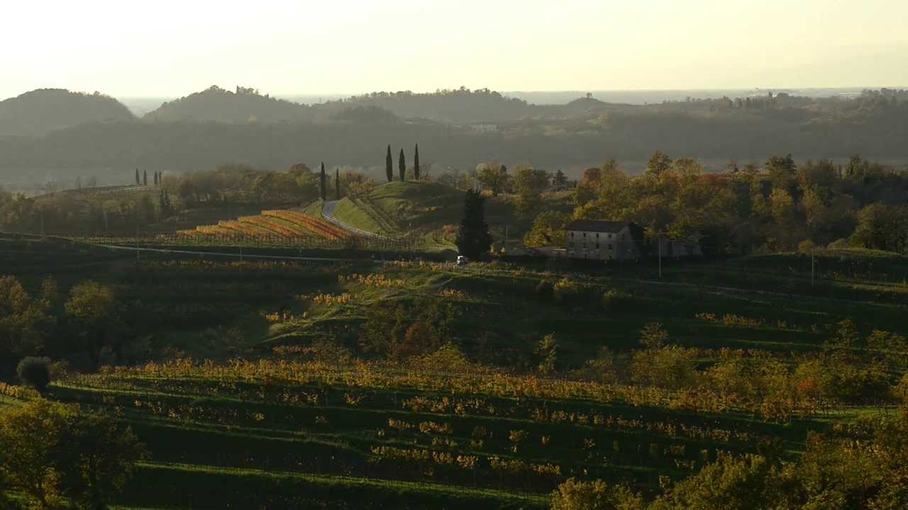 Grappa Nonino Monovitigno® : 1973-2013