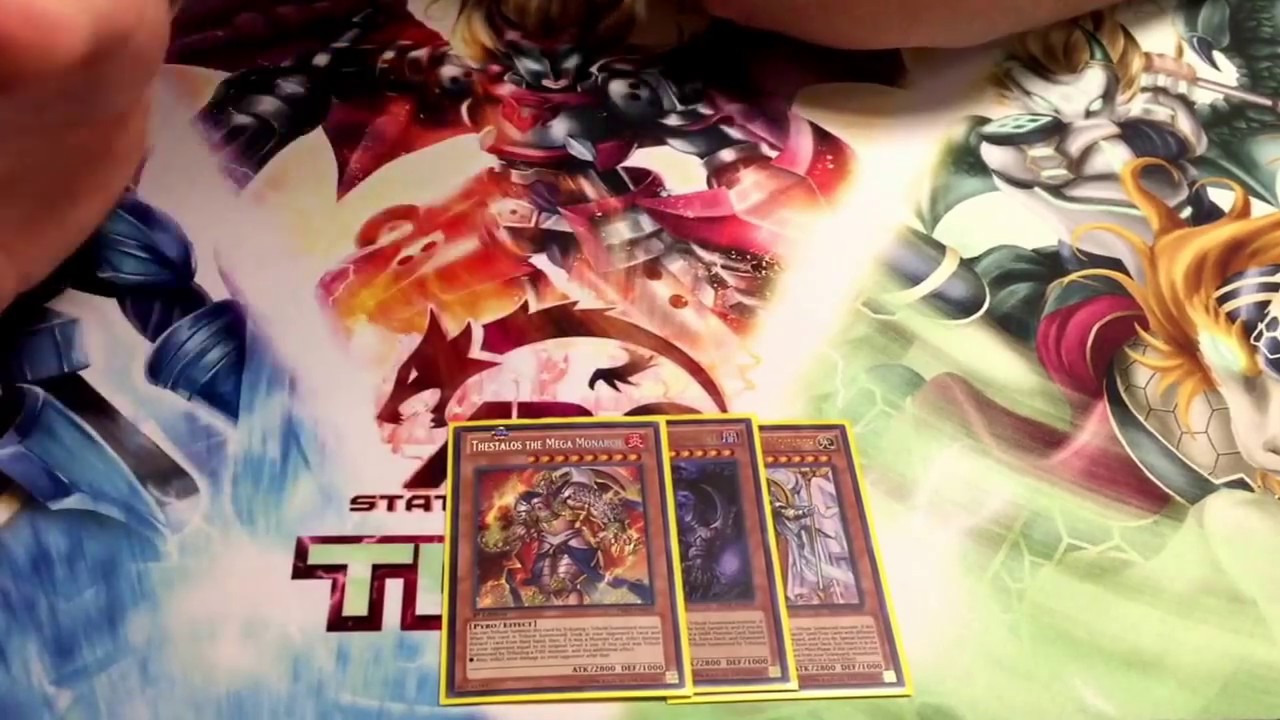 UNDEFEATED Domain Monarchs February 2017