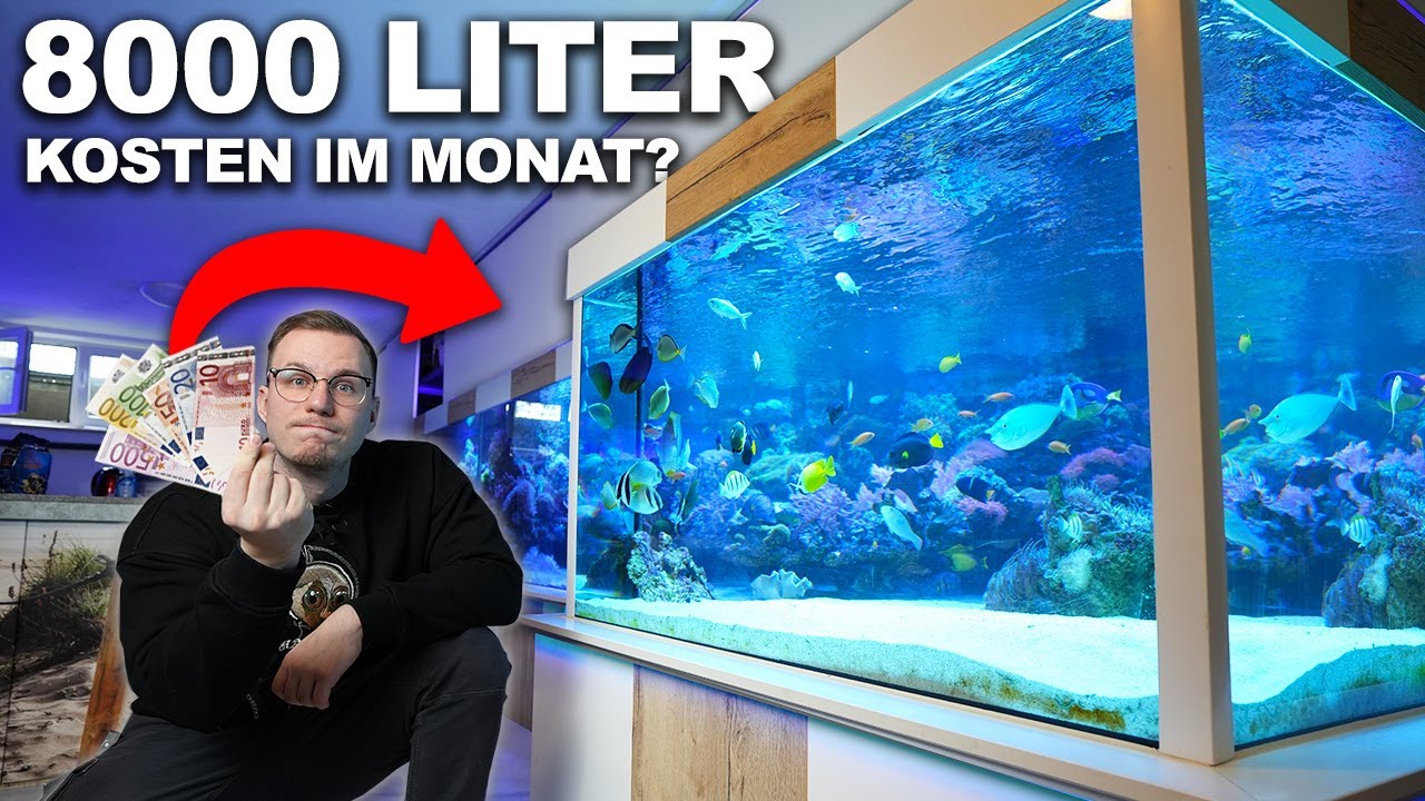*LOW BUDGET* 8.000 Liter Meerwasseraquarium - Was sind die monatlichen Kosten?