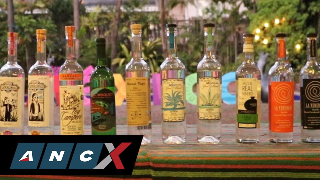 Discovering mezcal over tequila, some even distilled the Filipino way  | ANCX