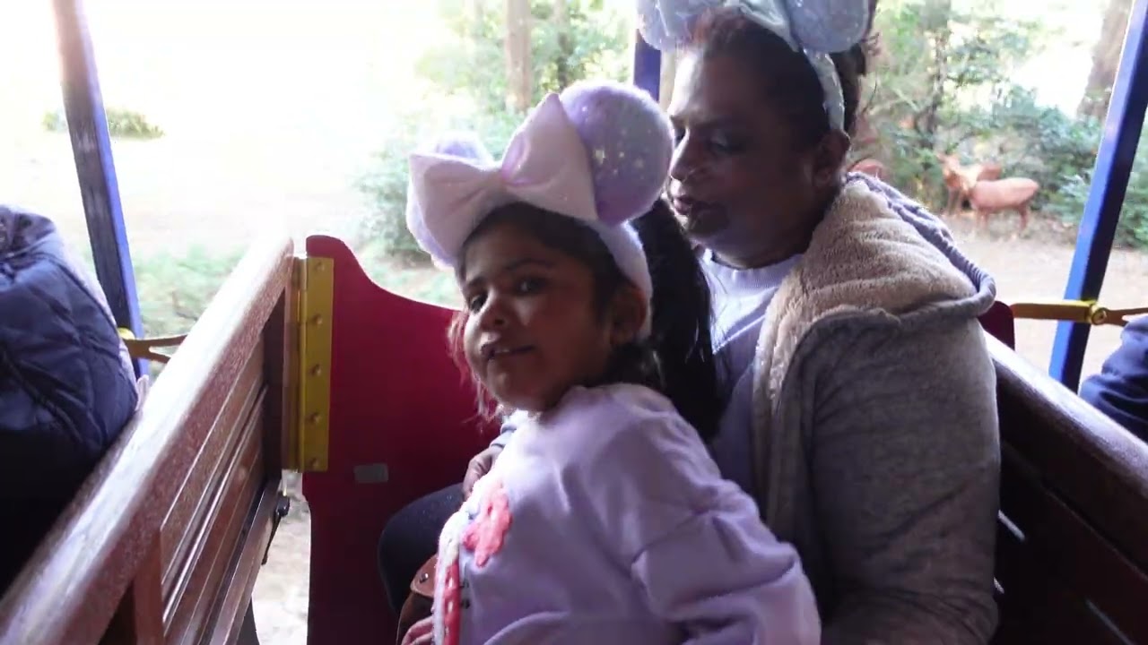 Disneyland Tokyo - Train Ride