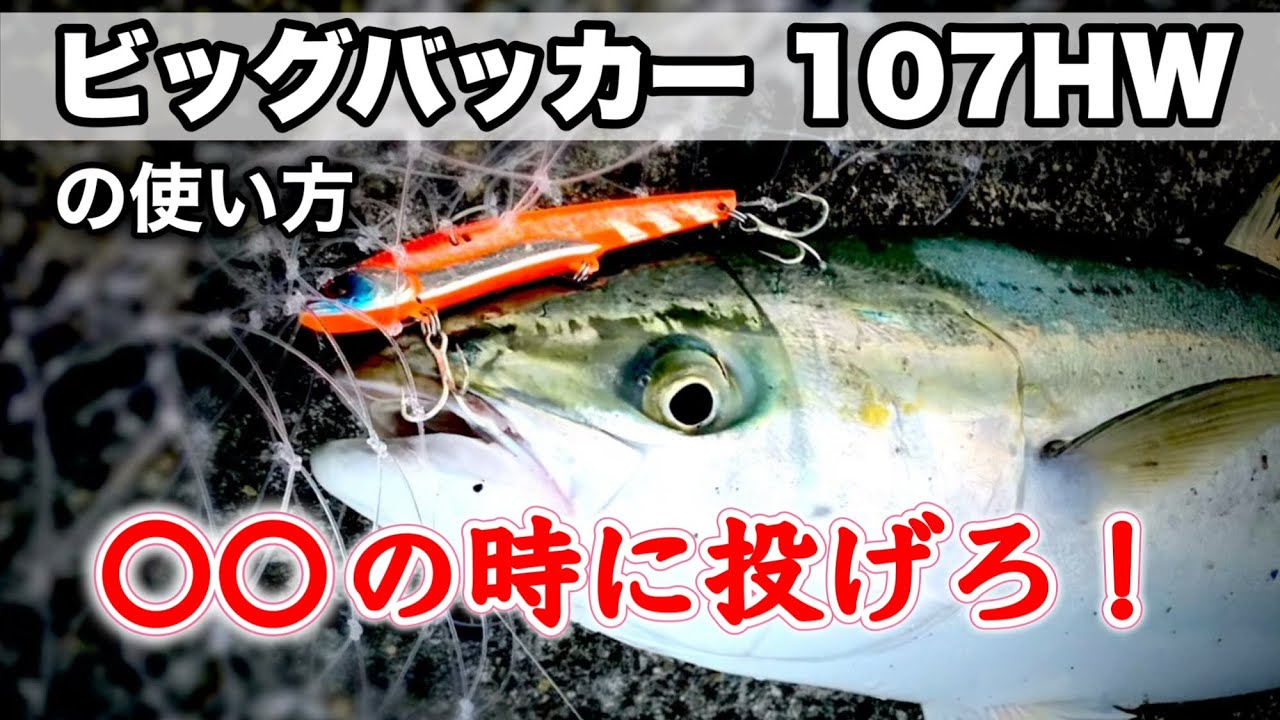 【青物】ビッグバッカー107HWは〇〇の時に投げろ！（実釣動画あり）　〜ビッグバッカー107HWの使い方（それ本当に使い方合っていますか？）