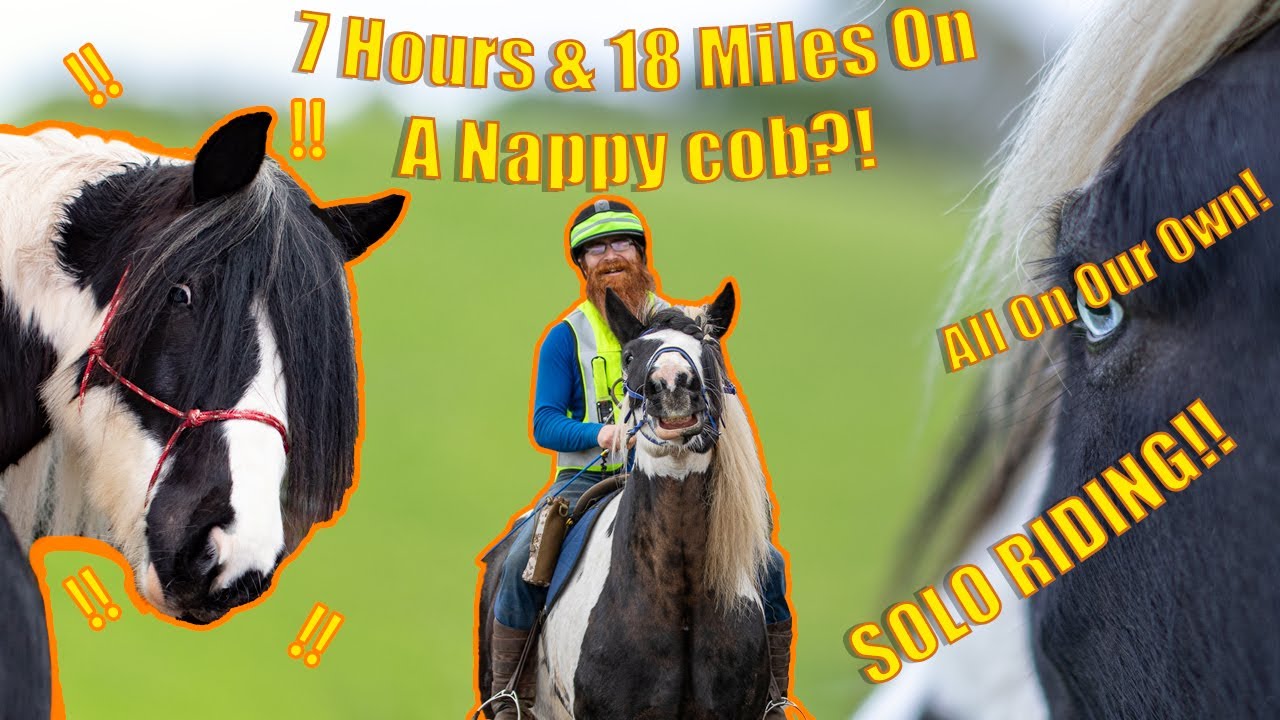 My Napping / Barn Sour  Horse does a 7hour, 18mile ride SOLO!!!!