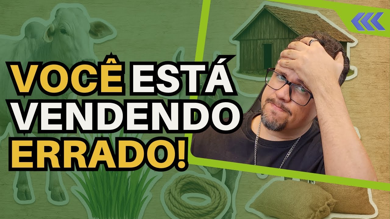 ERROS que DESTROEM a LUCTRATIVIDADE na venda de gado e como EVITAR