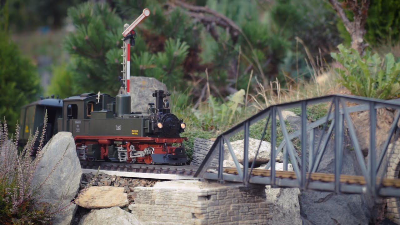 Sächsische IVk auf traumhafter Gartenbahn
