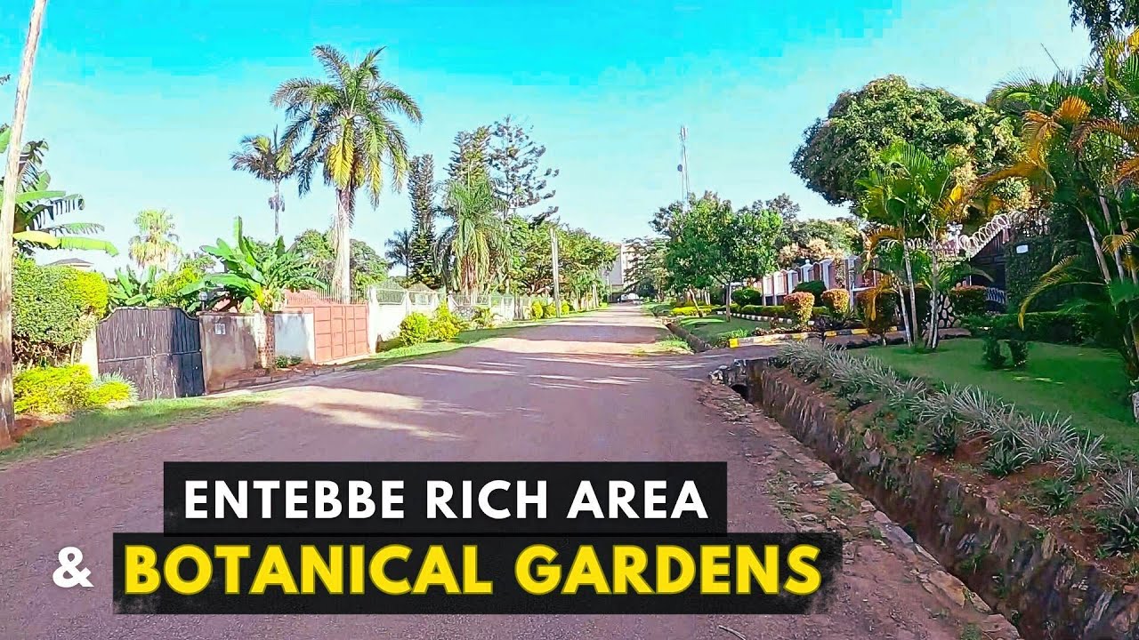 Entebbe Botanical Gardens And The Rich Neighborhood
