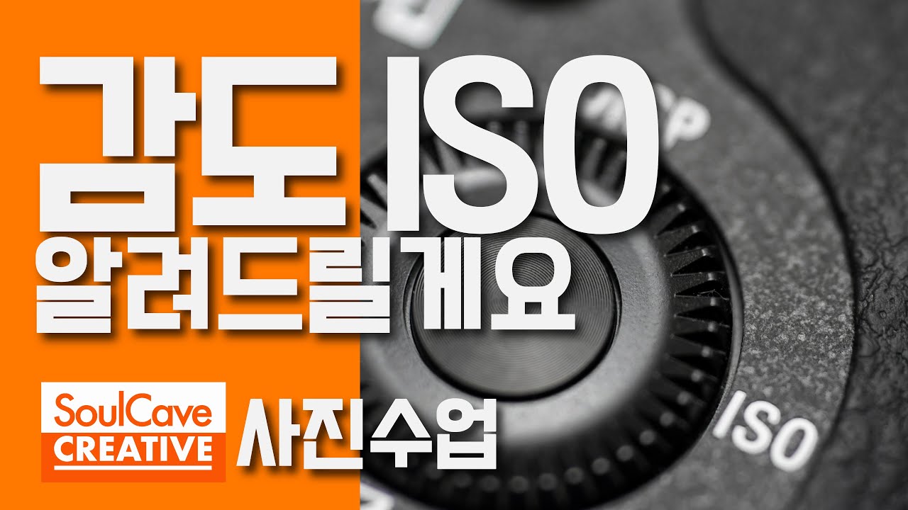 사진이 취미라면 꼭 보세요! 감도를 몰라서 헤메셨던분들! 30분 안에 알려드릴게요! 무료 사진강좌 #사진#사진잘찍는법#사진촬영 #카메라#감도#사진찍기#무료강의#기초강의#소울케이브