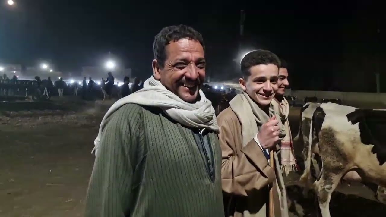  تجار البحيرة سحبو السجاده من تحت رجل تجار الغربيه واشترو احسن خمس بقرات فى سوق قطور 