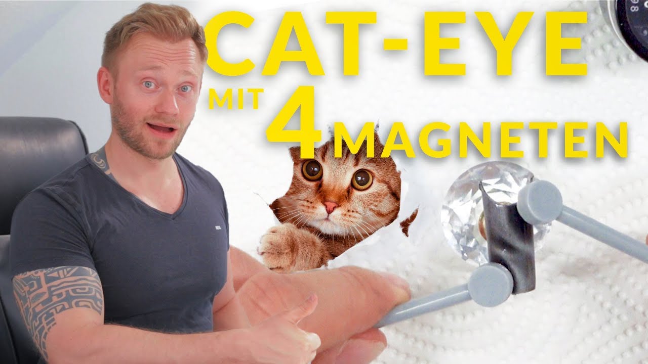 GelNägel - CatEye mit 4 Magneten - Tutorial