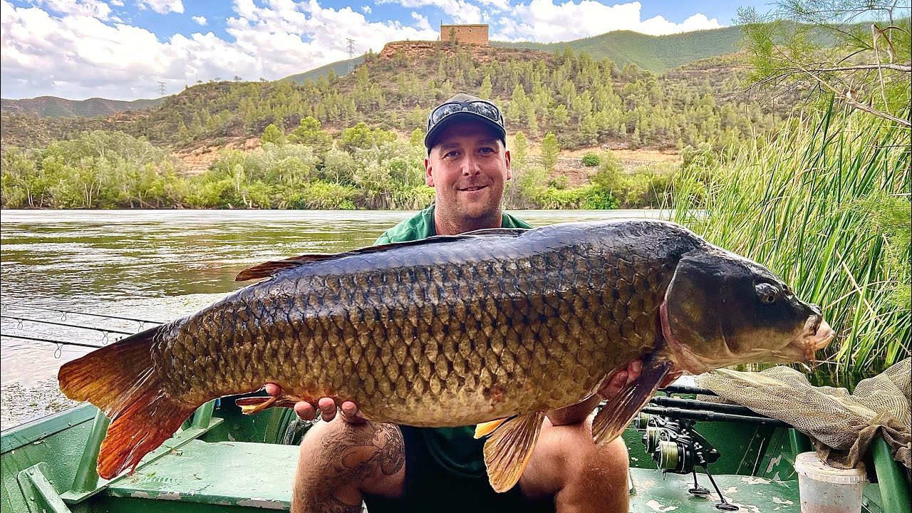CARP BOAT MISSION!!💥New River Ebro Pb!!💥EBROHOLIX💥