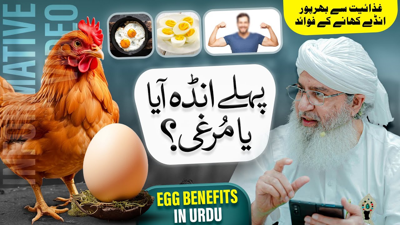 Pehlay Anda Aya Ya Murghi? | Anda Khane Ke Faiday | Egg Benefits in Urdu | Haji Shahid Attari