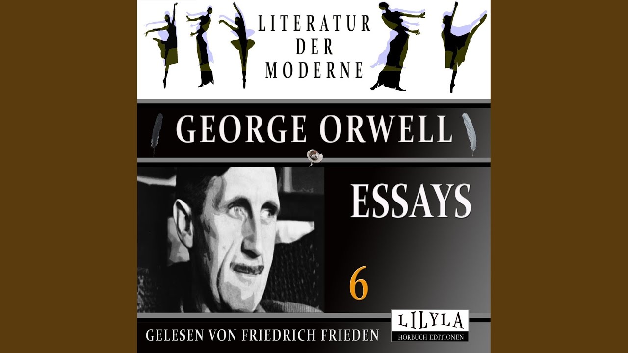 Kapitel 5 - Essays 6