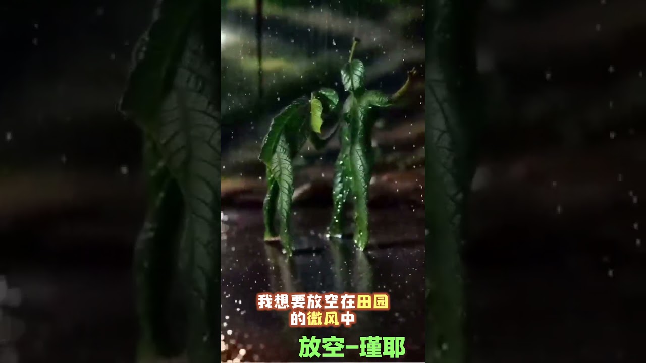 放松一下，推荐一首好听的歌-《放空》完整版，演唱：瑾耶，磁性嗓音，猜你会喜欢