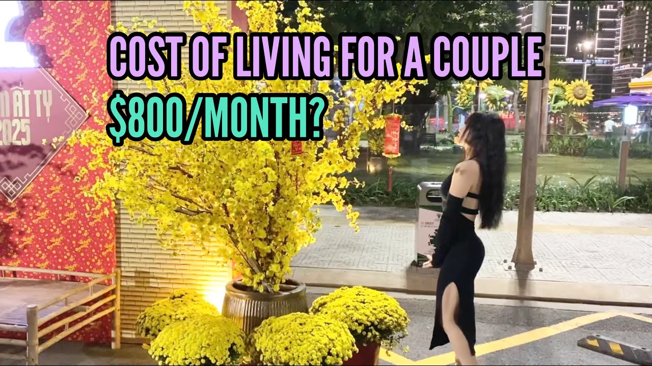 COST OF LIVING IN DA NANG, VIETNAM - VIRGIN BRAND NEW APARTMENT, ORGANIC FOOD, GOOD GYM