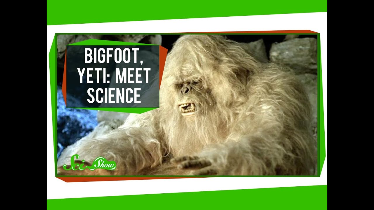 Bigfoot, Yeti: Meet Science