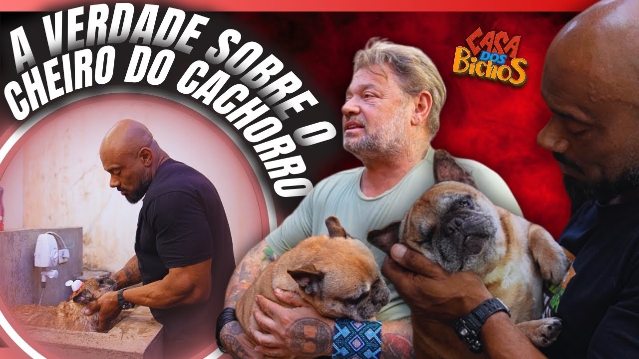 JULIO BALESTRIN DANDO O BANHO MAIS INSANO QUE MEUS CACHORROS JÁ TOMARAM! 🧼🐶