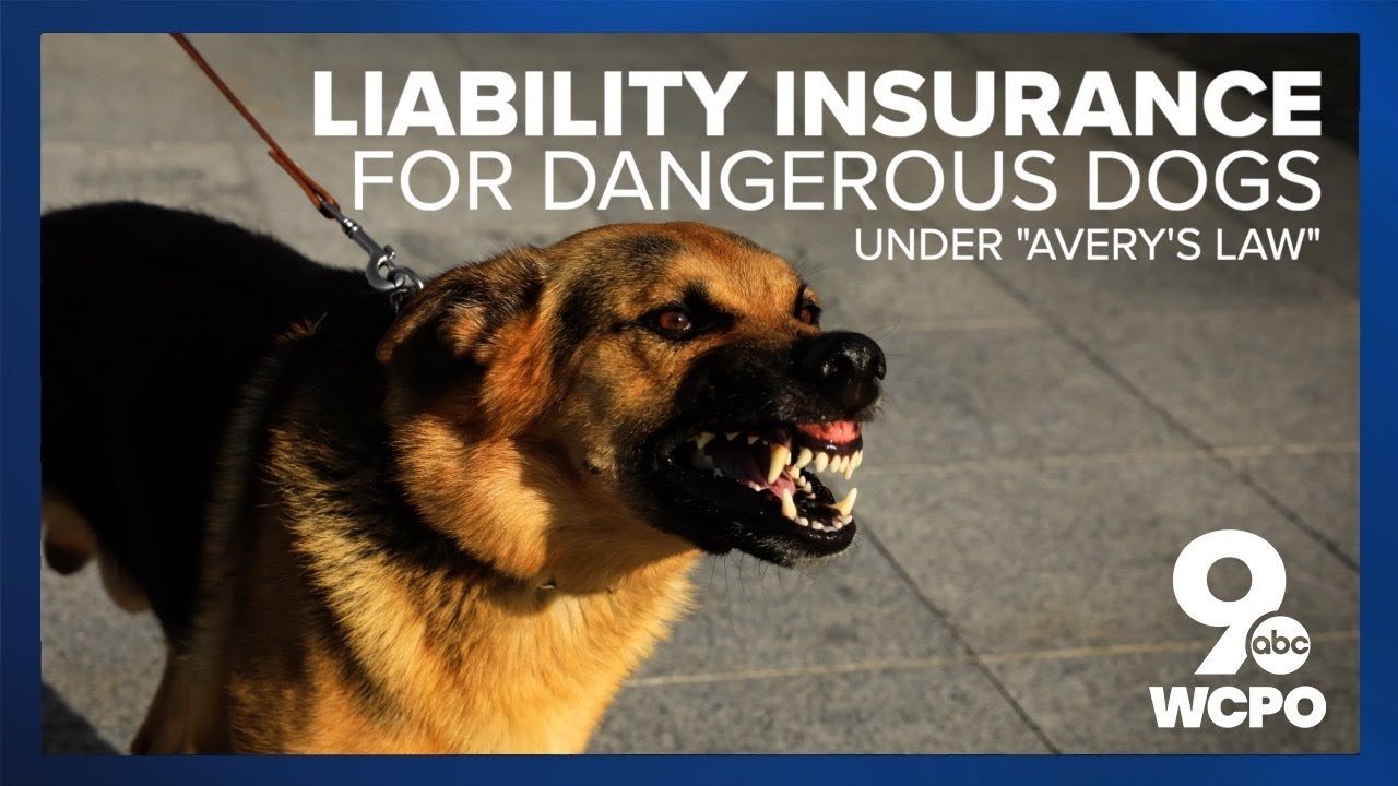 Dog attack victims call on Ohio leaders to better protect communities with 'Avery's Law'