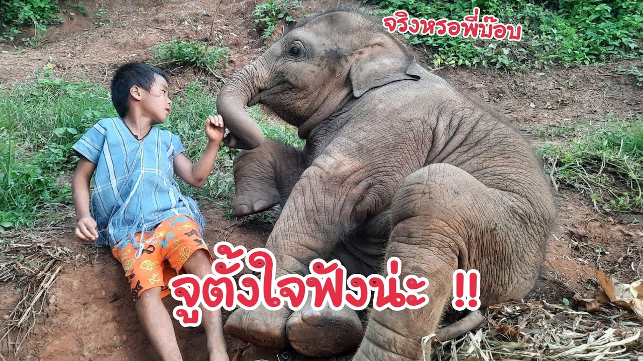 สองพี่น้องคุยกัน พี่บ๊อบโม้อะไรให้น้องจูฟัง !! น้องจูตั้งใจฟังมาก
