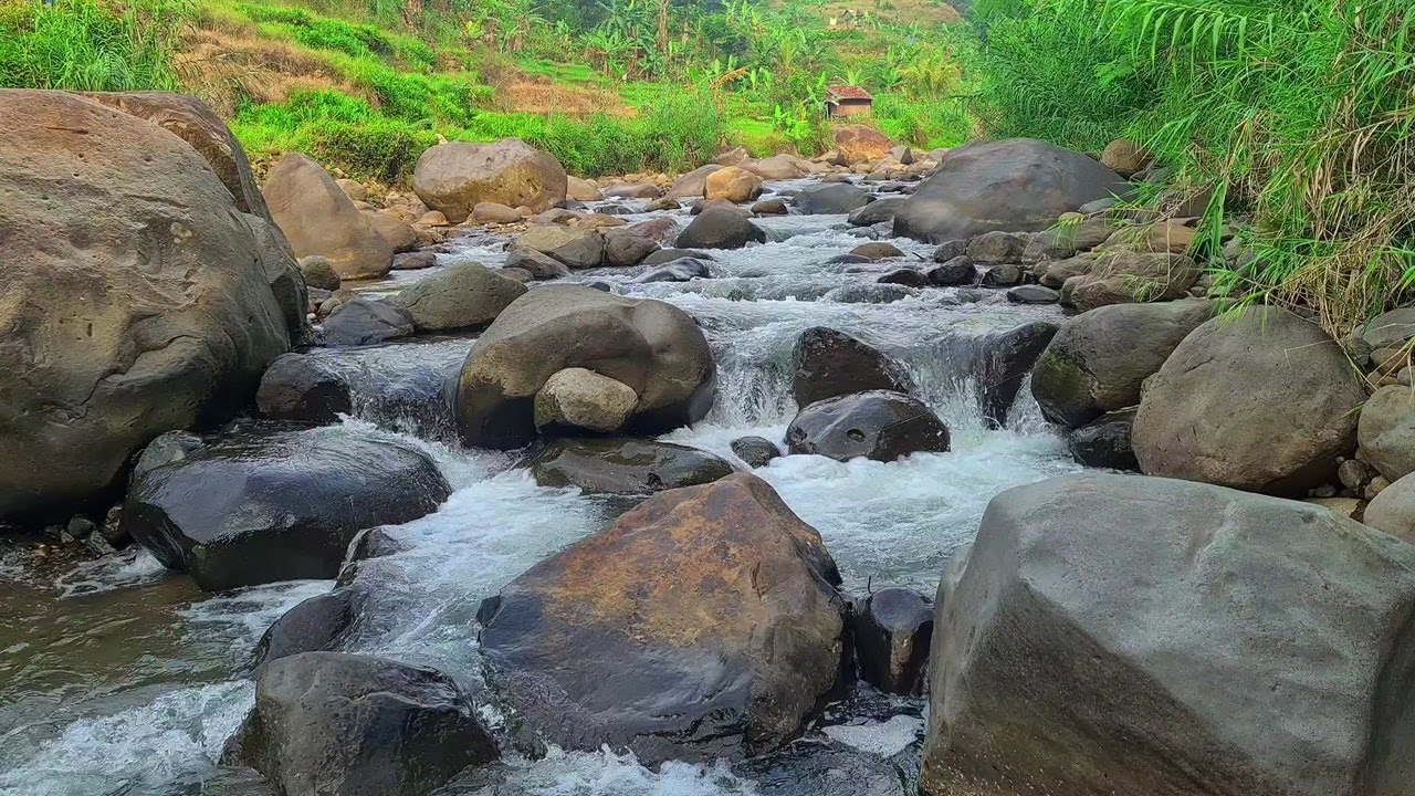 Peaceful Moonlit River – Soft Flowing Water Sounds to Calm the Mind and Sleep Well