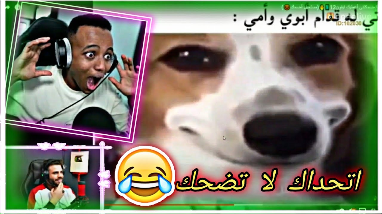 ردت فعل ali omar على فيديو abo flah مسابقة على 12 جهاز آيفون 🤣 اتحداك ما تضحك 🤣