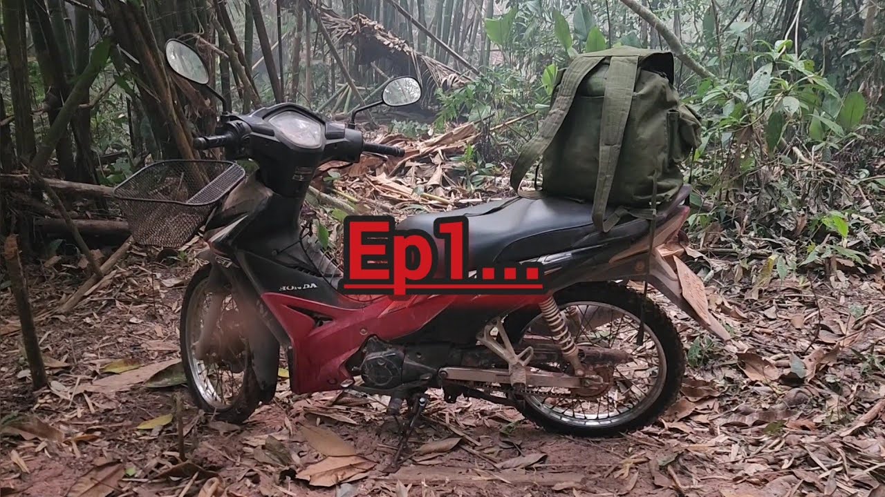 Yos hav zoov zov tsaug thiab tua nas noj txiv nplooj เข้าป่านั่งห้างตัวเม่นและยิงกระรก...