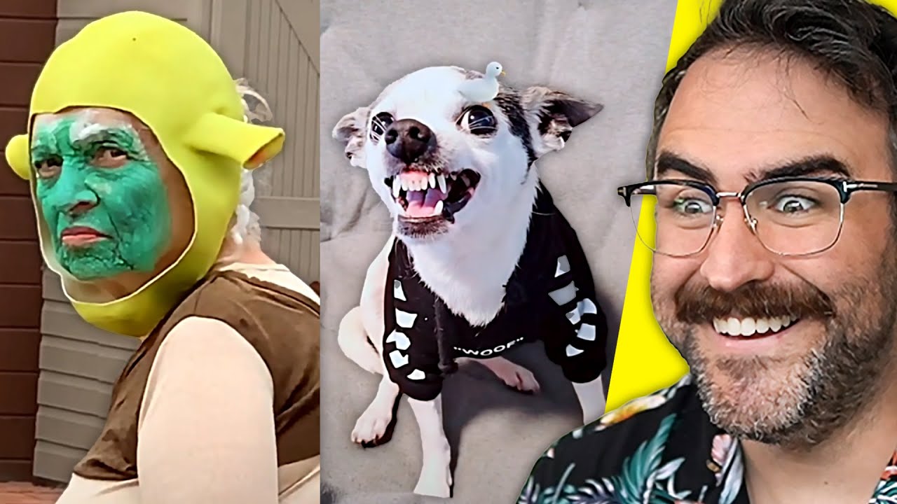 TikToks That Make The Sad Days A Little Better