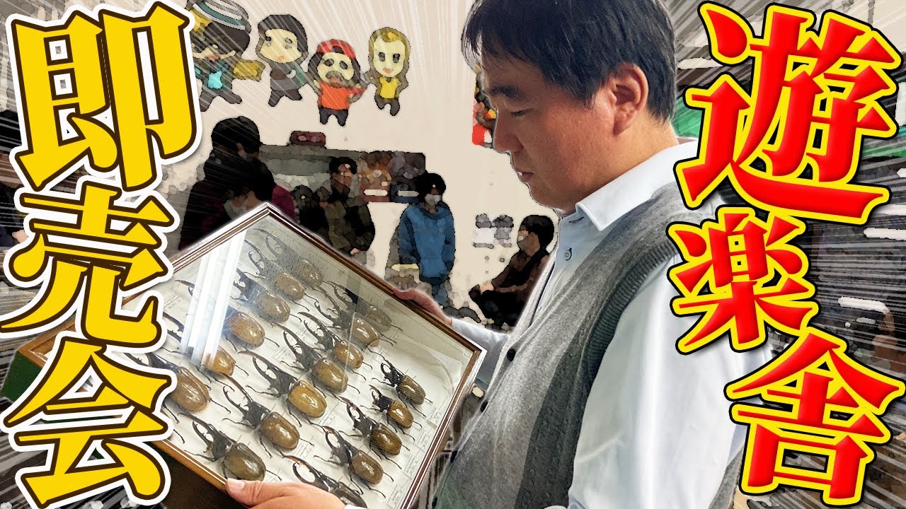 遊楽舎開催！2023年昆虫即売会！