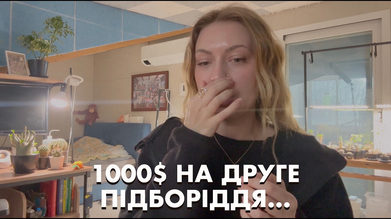 Корейський батя і Я хочемо змін.. / Де взяти грошей?