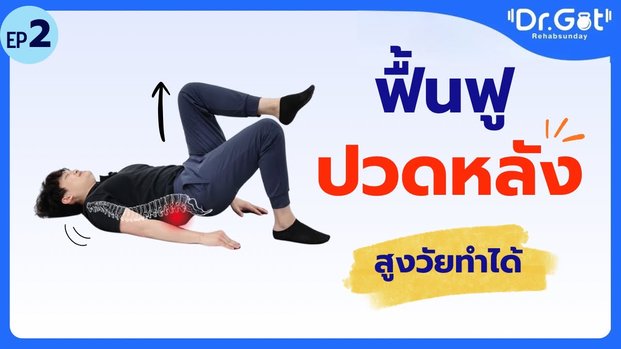 ฟื้นฟูปวดหลัง ออกกำลังทั่วทั้งตัว สูงวัยก็ทำไหว | Low back pain rehab Ep.2