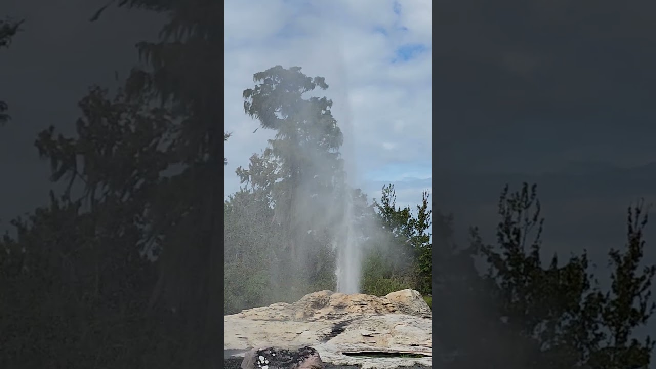 Disney's Wilderness Lodge Fire Rock Geyser