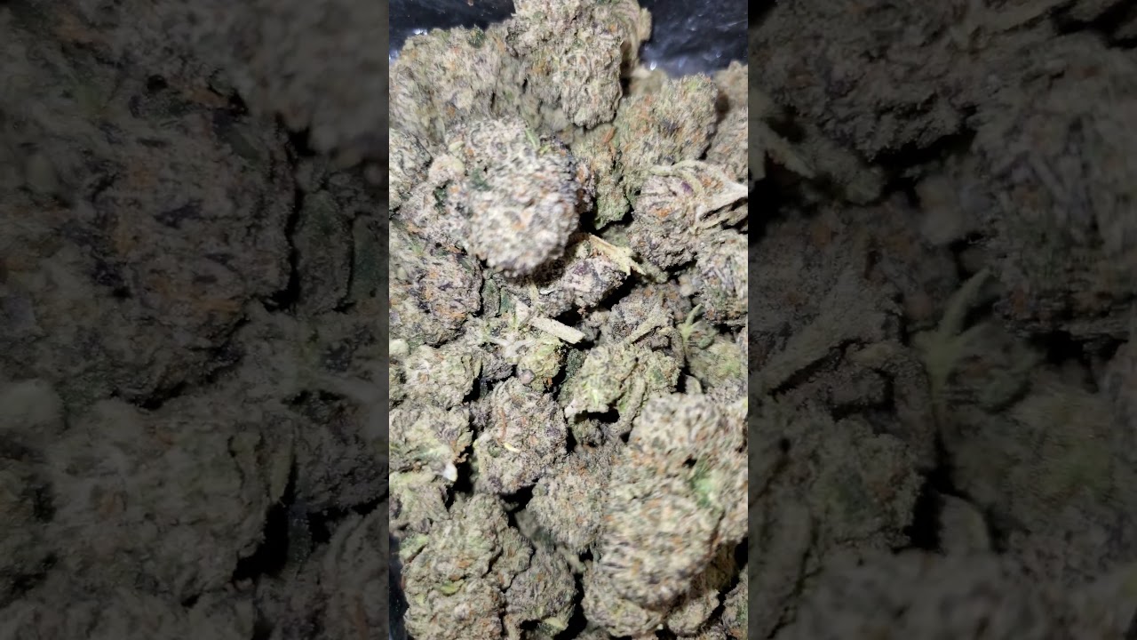 King Louis XIII