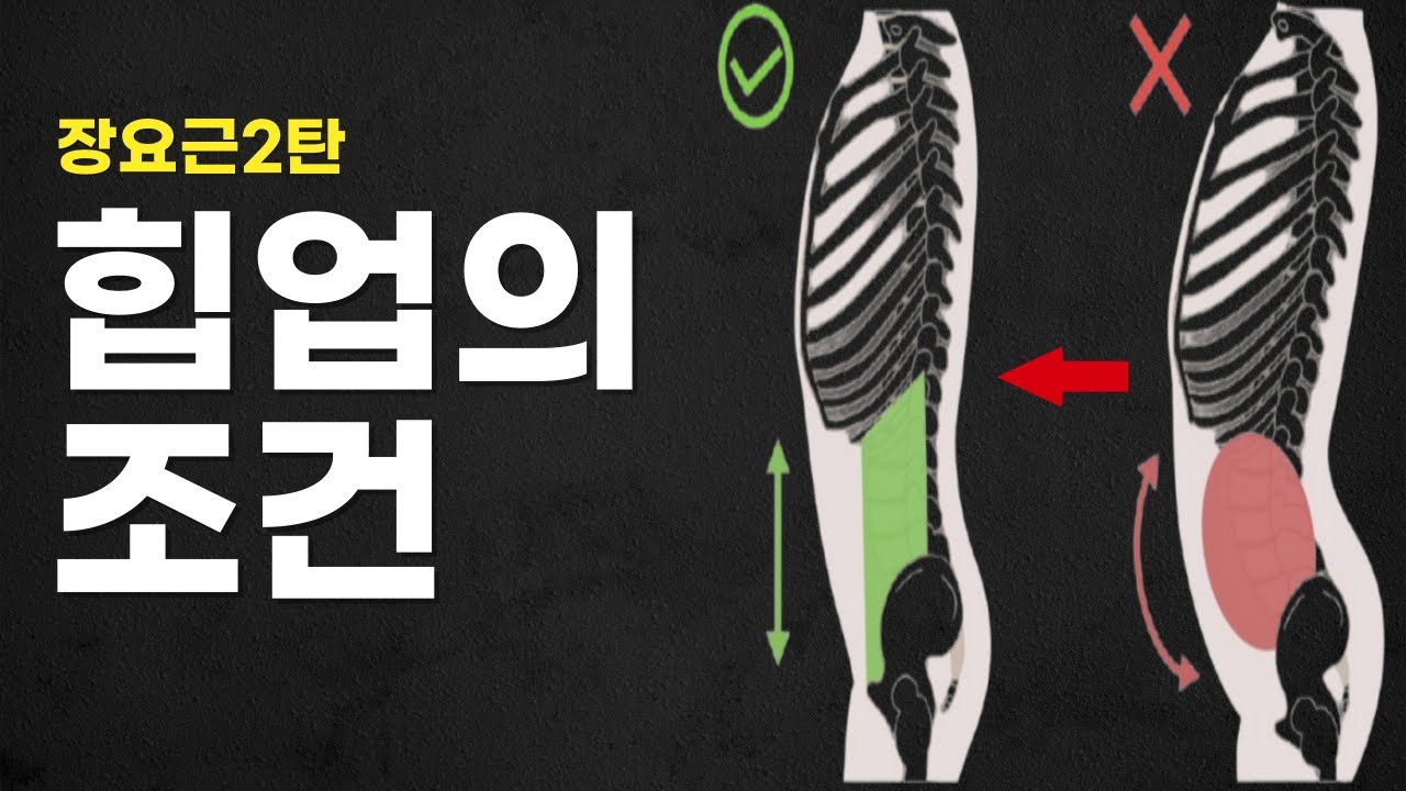 힙업의 조건 3가지 #장요근 2탄 #허리통증