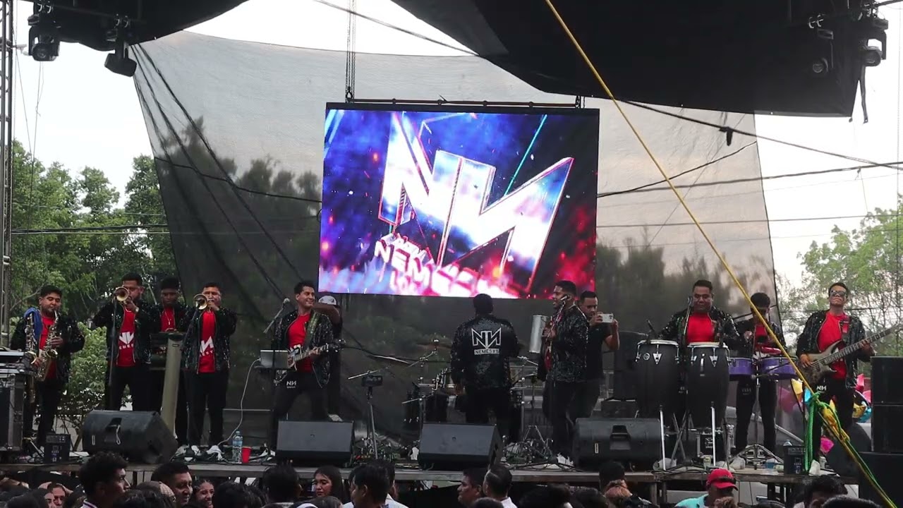 La malagueña curreña, El burro loco, El rumbero, Son putleco, El palomito · Nemesys Los Reyes