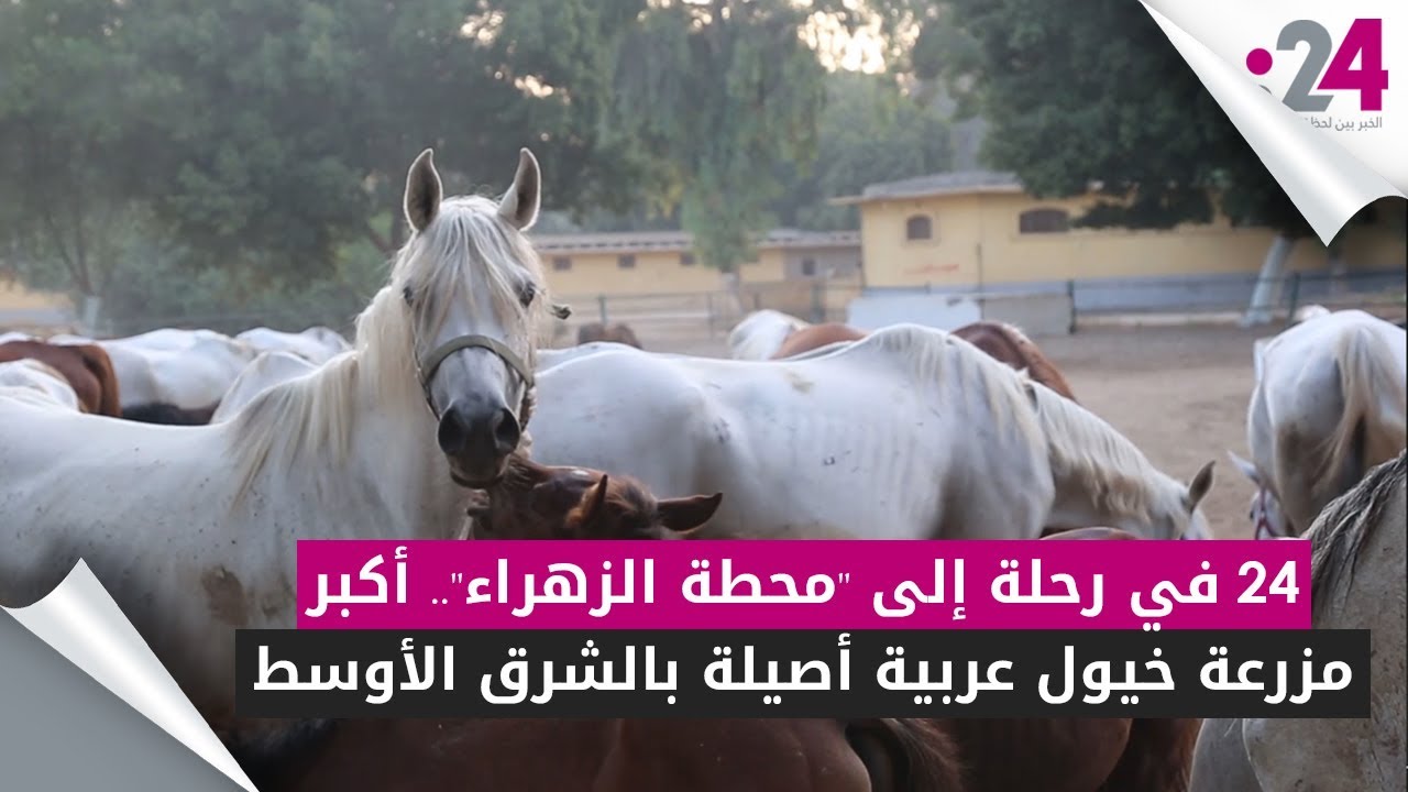 24 في رحلة إلى 