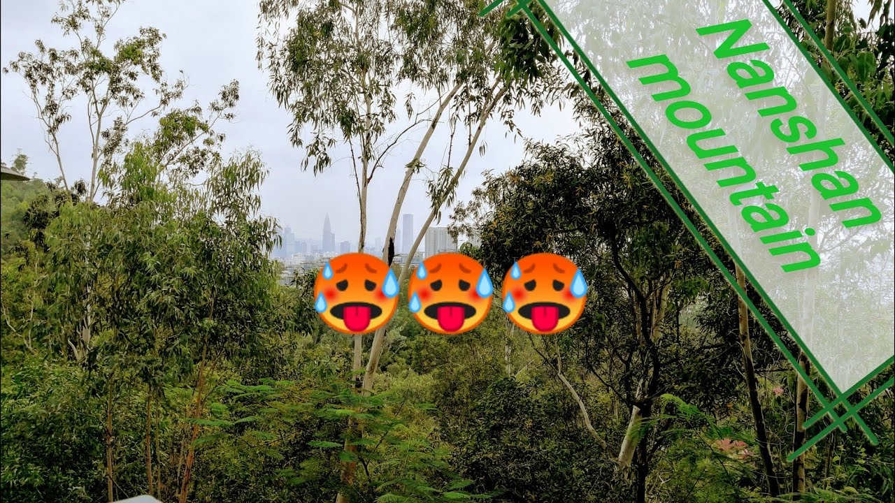 Nanshan mountain, Shenzhen. Good place for hiking.