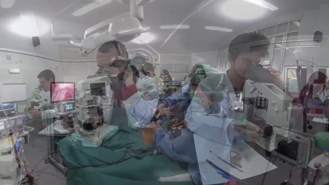 Facultad de Medicina. Universidad de Sevilla. 360 VR