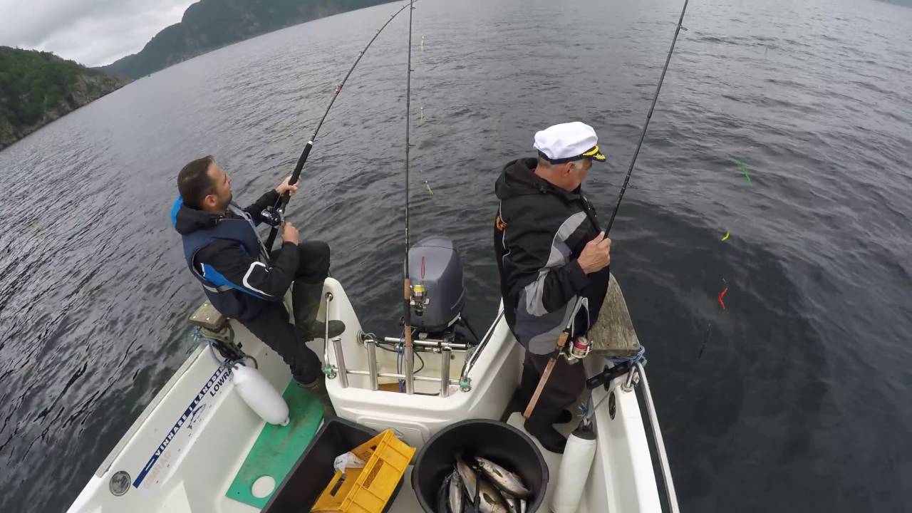 Flekkefjord Leng 100cm aus 175m Tiefe 2016