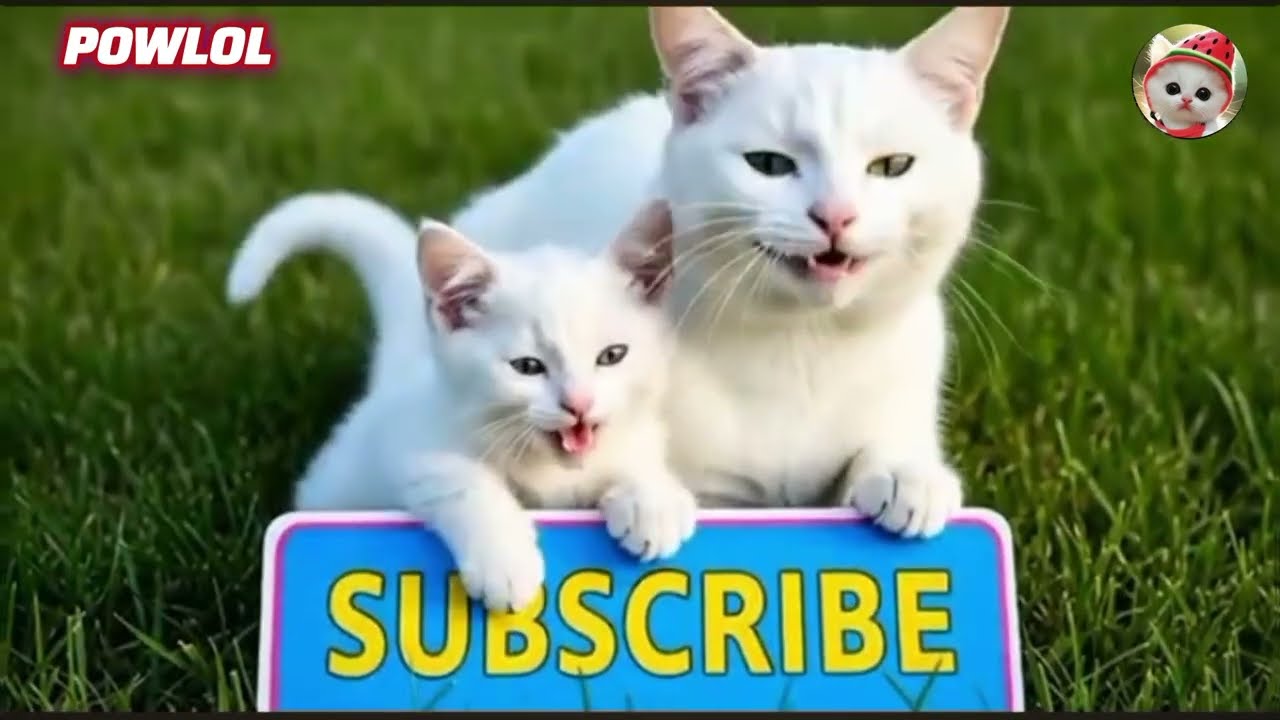 Mama Cat Trims Fur on the Farm and Makes Tiger Hat For Kittens At Home#powlol 