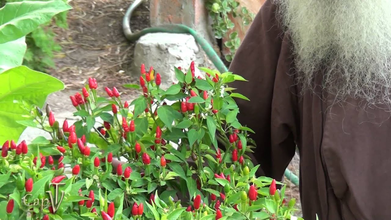 Il Giardino di Fra Lorenzo 
