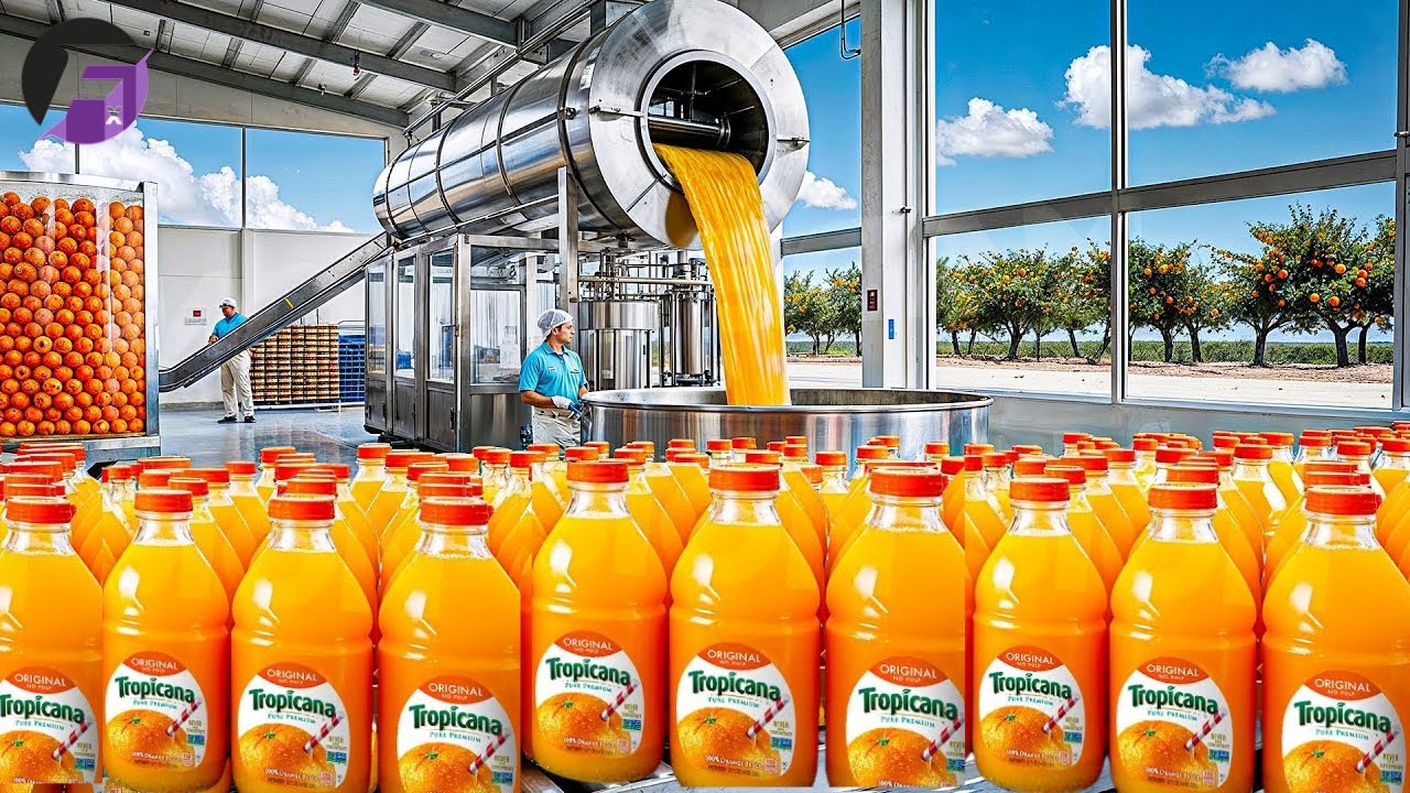 How Orange Juice is REALLY Made | What Happens to Oranges Before You Drink The Juice?