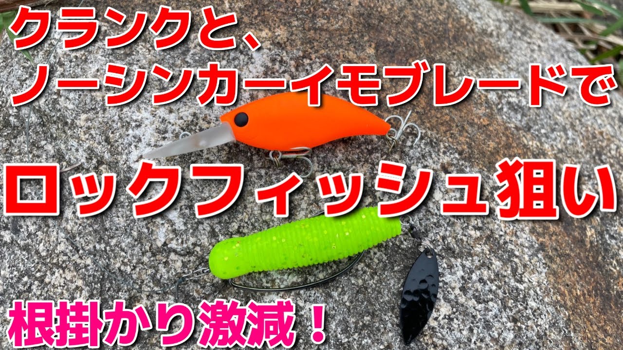 ノーシンカーイモブレードでキジハタ狙い【クランクとイモグラブでシャロー根魚攻略】