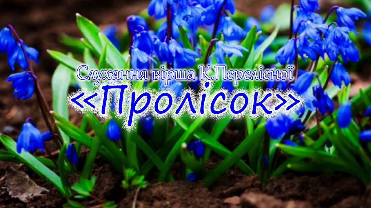 Слухання вірша К.Перелісної 