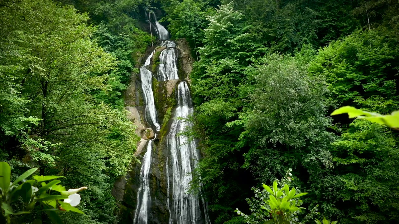 The beauty of a waterfall #shorts