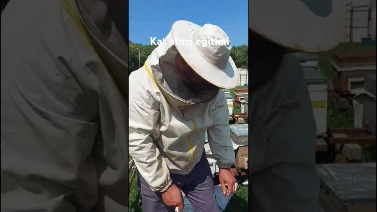 Arıcılıkta pratik kat atma