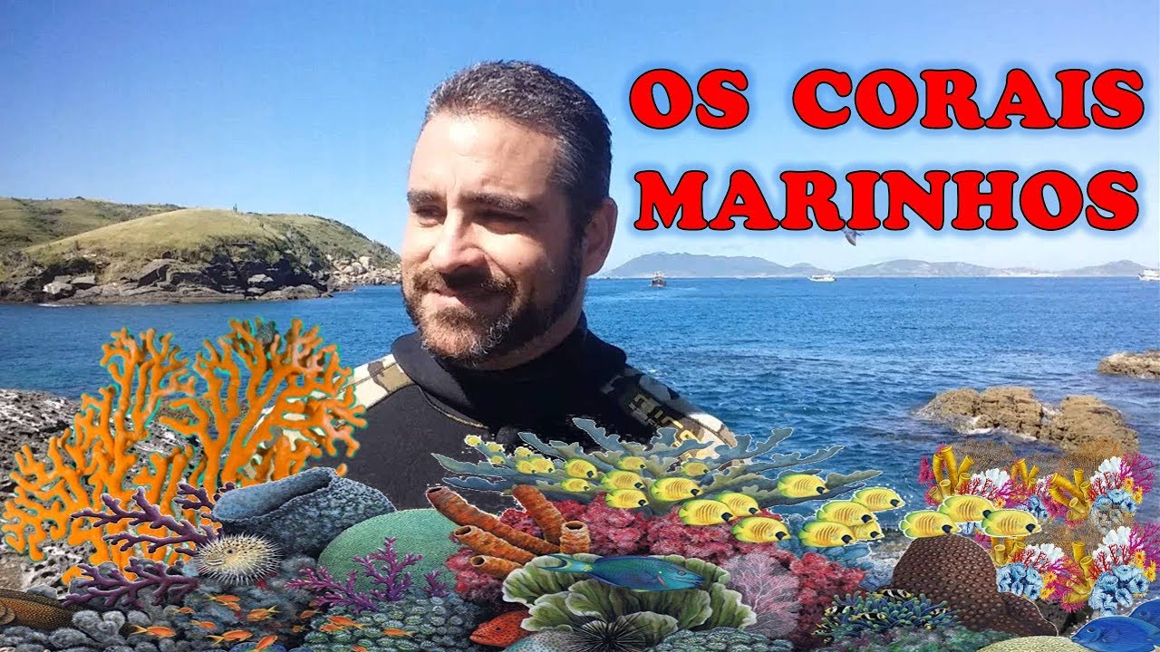 O que s&atilde;o os Recifes de Corais? Qual a import&acirc;ncia? Curiosidades.