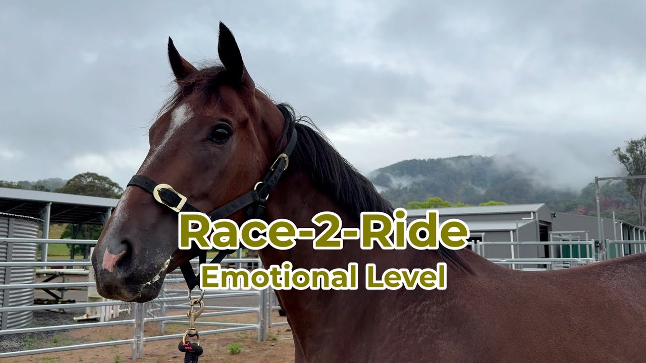 Recognising emotional level (off-the-track)