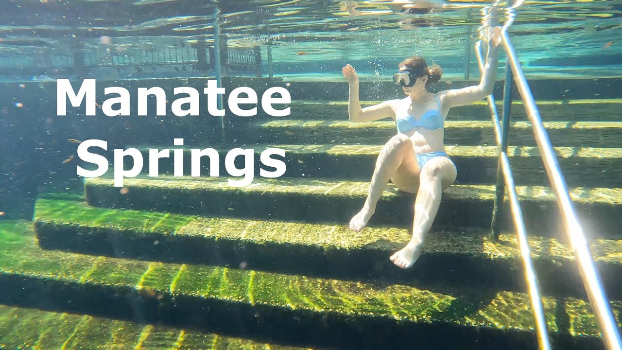 Manatee Springs State Park Florida Swimming and Hiking