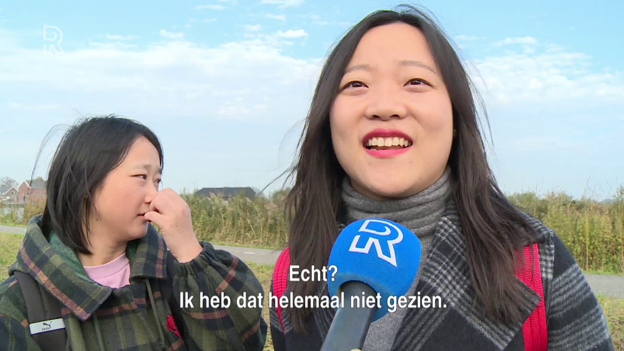 Kinderdijk zucht onder massatoerisme